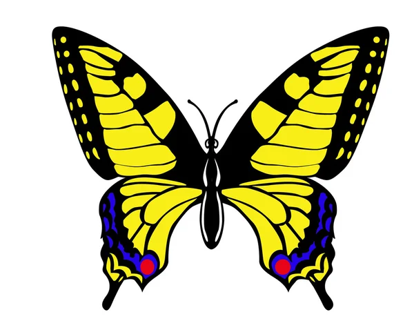 Vektor Zeichnung Schmetterling Schwalbenschwanz auf weißem Hintergrund — Stockvektor
