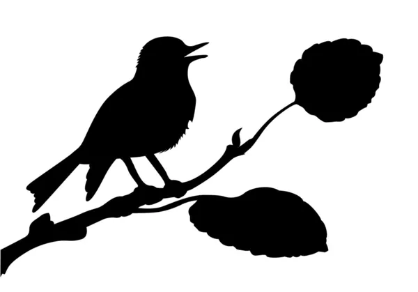 Silueta vectorial del pájaro en rama — Vector de stock