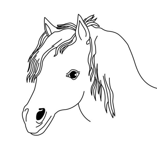 Silueta vectorial del caballo cabeza sobre fondo blanco — Vector de stock