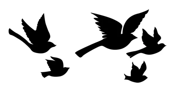 Silueta vectorial aves voladoras sobre fondo blanco — Vector de stock