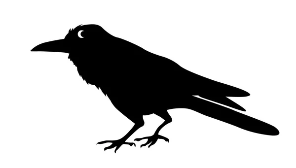 Vector silhouette ravens on white background — Stock Vector