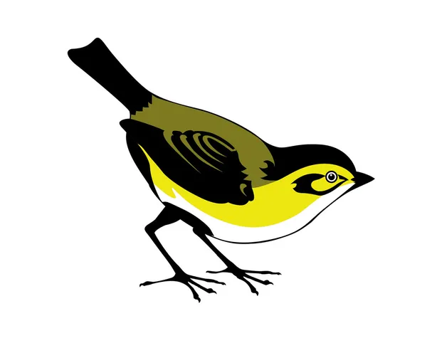 Vektorové siluetu ptáka na bílém pozadí — Stockový vektor