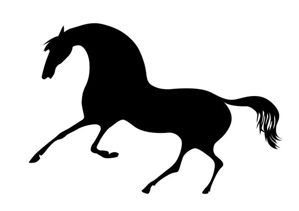 Vector silhouette horse on white background — Stock Vector