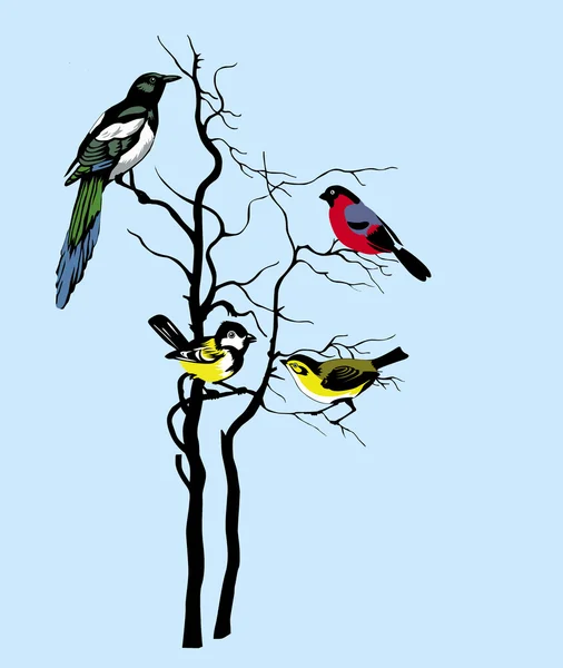 Silueta vectorial de las aves en el árbol — Vector de stock