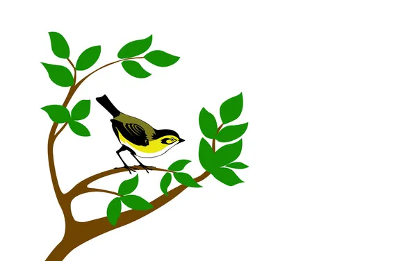 Векторный силуэт птицы на дереве — стоковый вектор