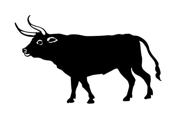 Vector illustration oxen on white background — Stock Vector