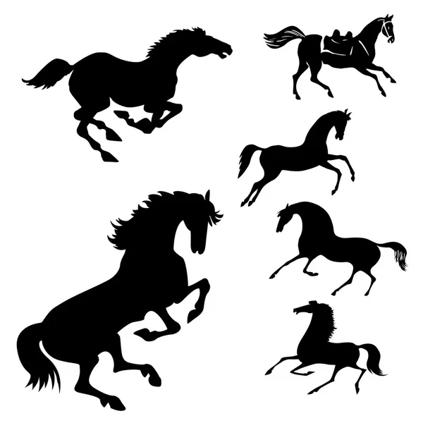 Векторный набор лошадей на белом фоне — стоковый вектор