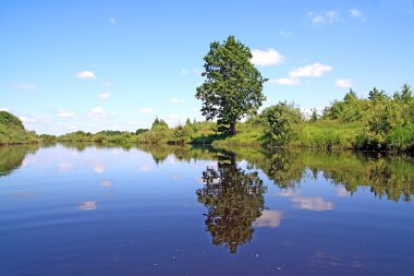 Oak Nehri kıyısında