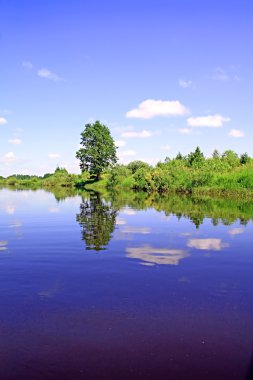 Oak Nehri kıyısında