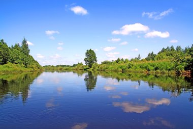 Oak Nehri kıyısında