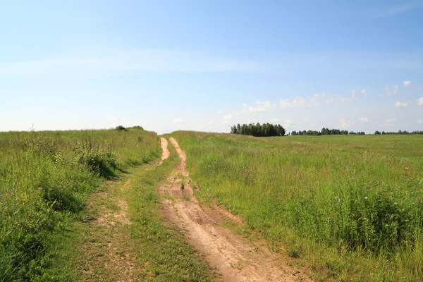 Estrada rural — Fotografia de Stock