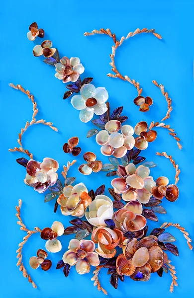Seashells on blue background — Stock Photo, Image