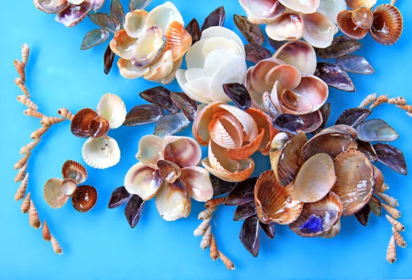 Conchas marinas sobre fondo azul —  Fotos de Stock