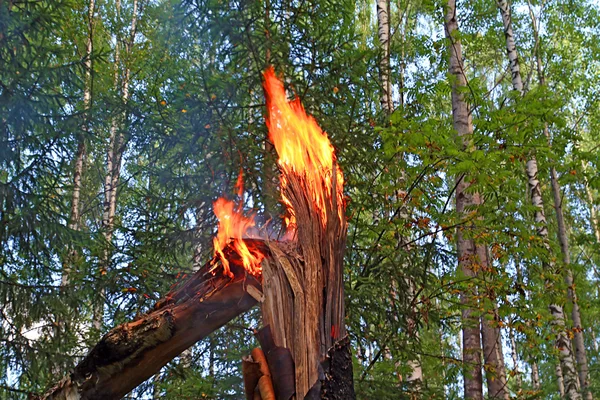 ไฟไหม้ในไม้ — ภาพถ่ายสต็อก