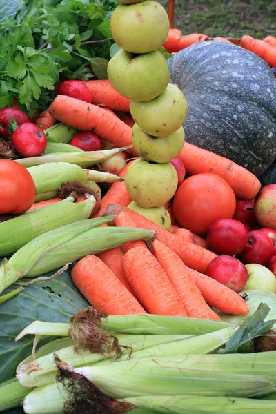 Овочі на сільському ринку — стокове фото