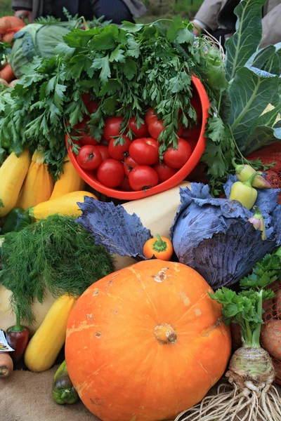 Grönsaker på landsbygden marknaden — Stockfoto