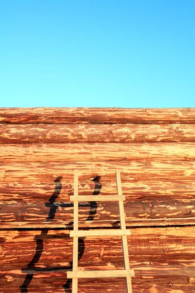 Construction du nouveau bâtiment en bois — Photo