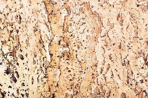 stock image Cork texture