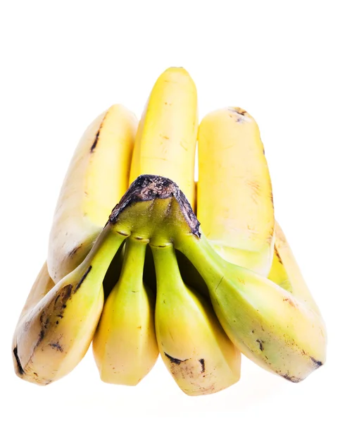 stock image Bananas