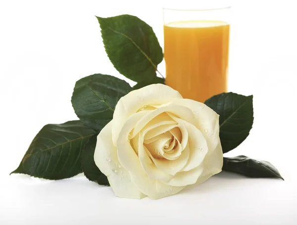 Bílá růže proti pomerančové šťávy. — Stock fotografie