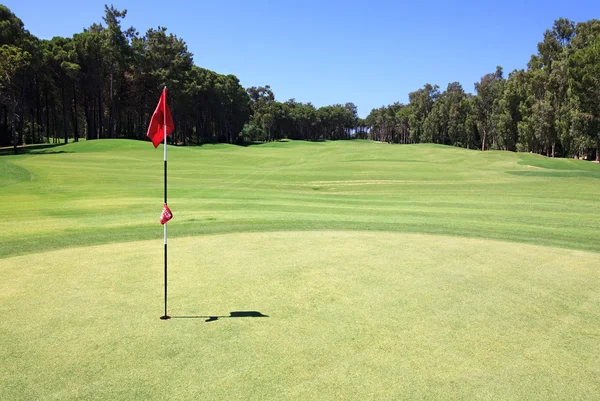 Bandeira no campo de golfe . — Fotografia de Stock