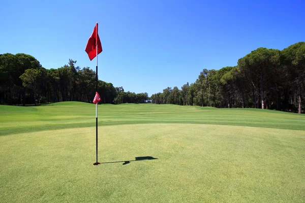 Bandera en el campo de golf . Imágenes de stock libres de derechos