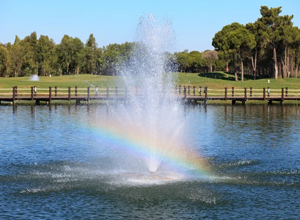 Fountain in the artificial pond. — Stock Photo, Image