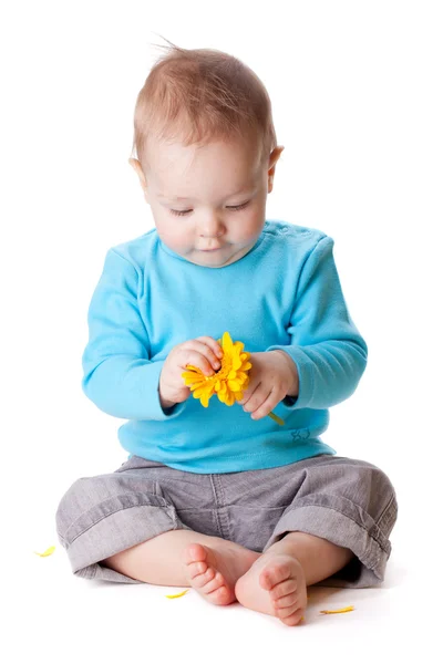 Pequeno bebê segurando flor amarela — Fotografia de Stock