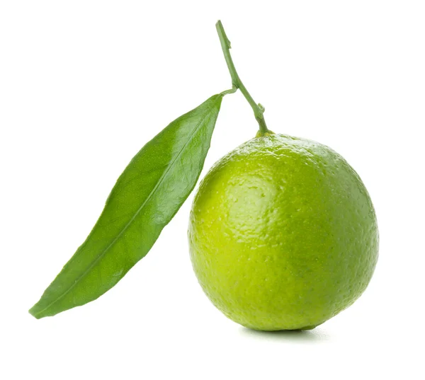 Lime fraîche avec feuille verte — Photo