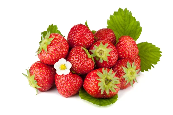 Erdbeerfrüchte mit Blüten und grünen Blättern — Stockfoto