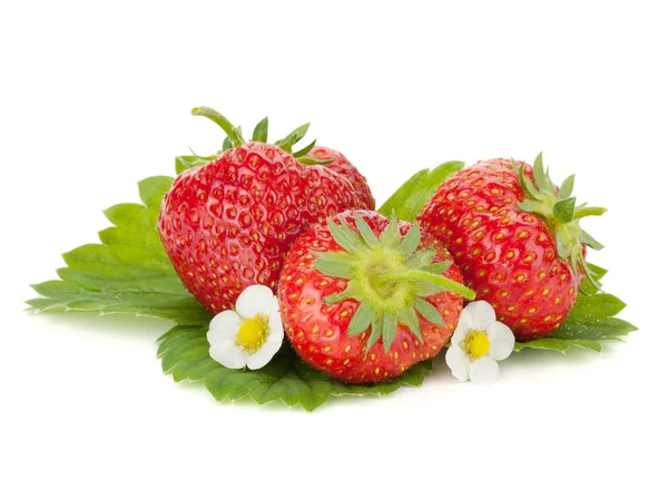 Three strawberry fruits with flowers and green leaves — Stock Photo, Image