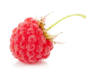 Raspberry macro clipart