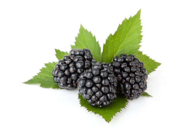 Three ripe blackberries with leaves — Stock Photo, Image