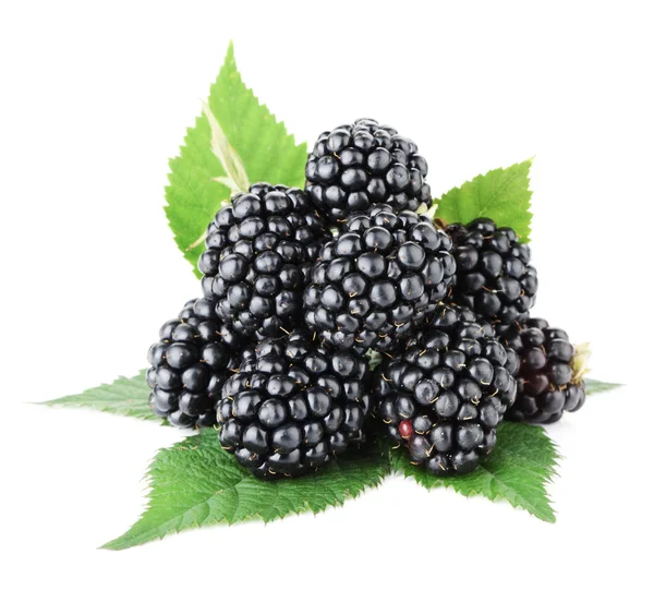 Rijp blackberry vruchten — Stockfoto