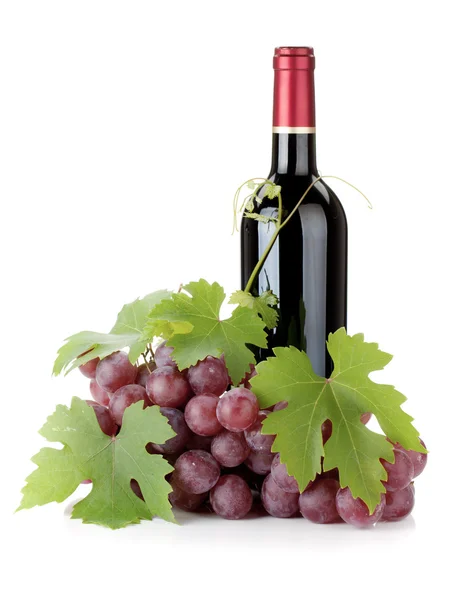 Vino tinto botella y uvas — Foto de Stock