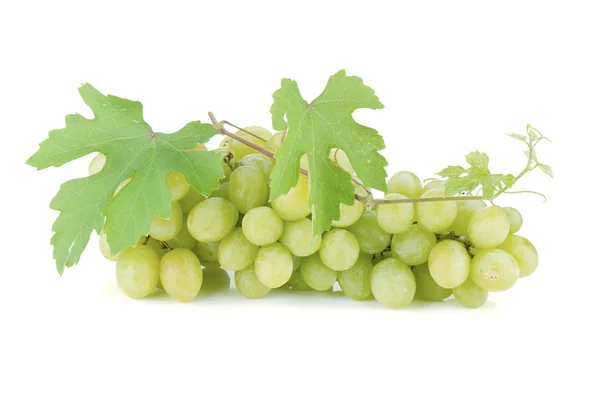 Winogrona białe z liści — Zdjęcie stockowe