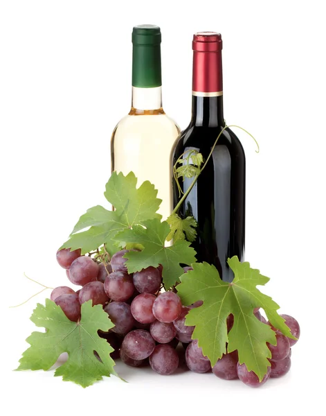 Två vinflaskor och druvor — Stockfoto