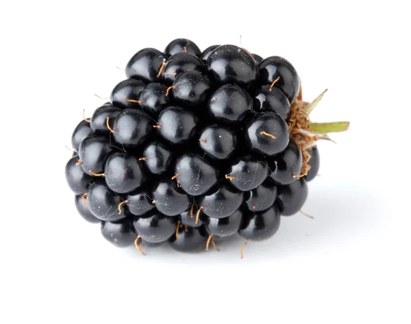Dojrzałe blackberry — Zdjęcie stockowe