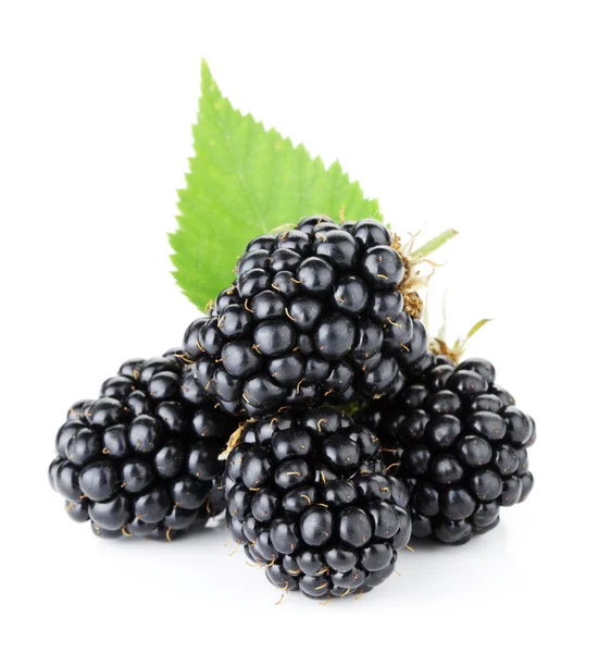 成熟的黑莓水果 — 图库照片