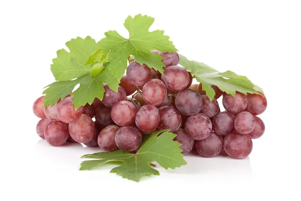 Свіжий стиглий червоний виноград — стокове фото