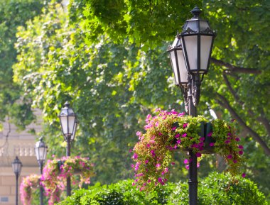 Fener bir çiçek açan, Bahar Parkı