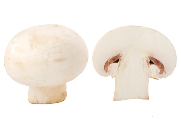 Champinjon svampar på vit bakrund — Stockfoto