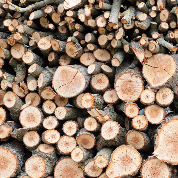 Pozadí suché dřevo nasekané protokolů se vršily hromady — Stock fotografie