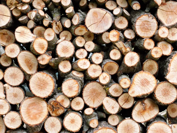 Background of dry chopped firewood logs stacked up in a pile — Stock Photo, Image