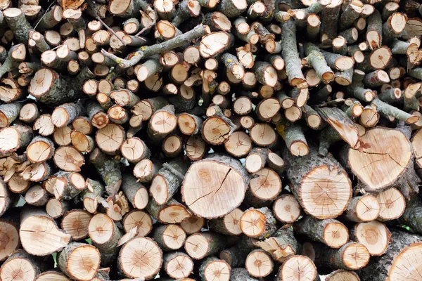 Pozadí suché dřevo nasekané protokolů se vršily hromady — Stock fotografie