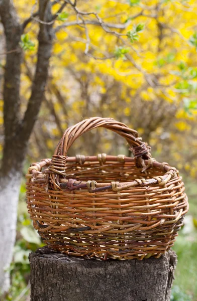 Старий плетений кошик в саду — стокове фото