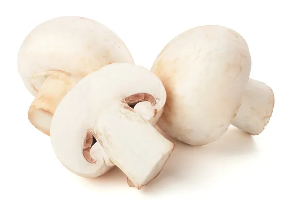 Champinjon svampar på vit bakrund Royaltyfria Stockfoton