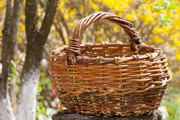 Старая плетеная корзина в саду — стоковое фото