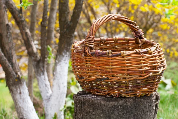 秋の庭で古い枝編み細工品バスケット — ストック写真