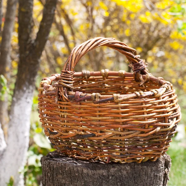 Stary wiklinowy koszyk w ogrodzie — Zdjęcie stockowe